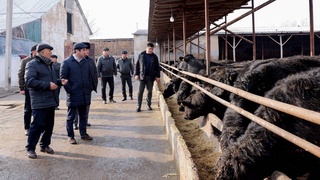 Министр сельского хозяйства ознакомился с деятельностью объектов аграрной сферы в ряде районов Джизакской области