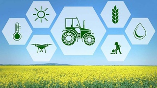 Пример успешного хозяйствования