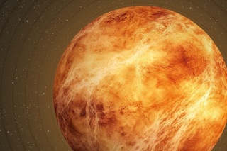 Venera haqida nimalarni bilasiz?