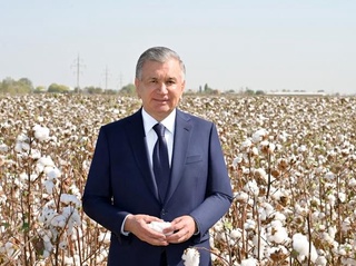 O'zbekistonda paxta qulligi tugadi, terim endi “jazo” emas — Corriere della Sera