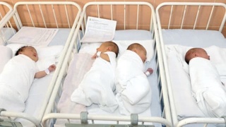 Февраль ойида қайси ҳудудда энг кўп туғилиш қайд этилди?