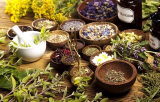 Uzbekistan has created a new natural remedy for the treatment of allergic skin diseases that has no analogues in the world