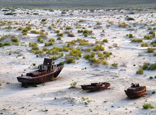 Qoraqalpogʻiston: Orol dengizini qoʻllab-quvvatlash maqsadida Xalqaro ekomarafon oʻtkaziladi
