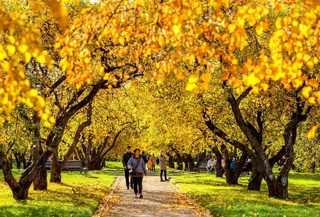 Прогноз погоды на день 8 ноября