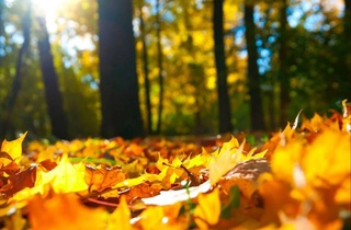 Uzhydromet the beginning of October in Uzbekistan will be dry and warm