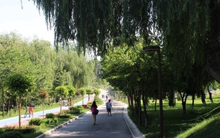 Прогноз погоды на 19 июня