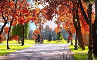 Прогноз погоды на 12 ноября