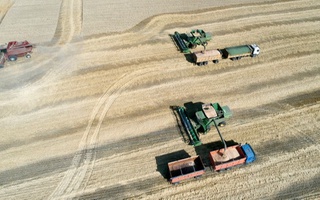 Өзбекстан ауыл шаруашылығы өнімдерін өндіру үшін Ресейдің 1 миллион гектар жерін жалға алмақшы