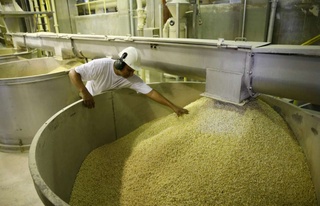 Омандық инвестор Өзбекстандағы қызметін кеңейтуге мүдделі