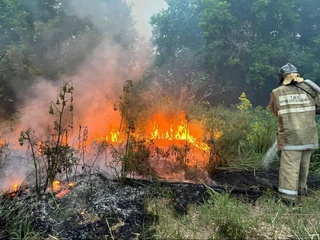 12 июн дар Қазоқистон рӯзи мотами миллӣ эълон шудааст
