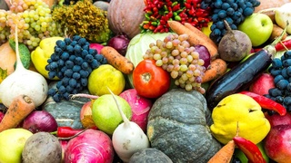 Ташкент облысында өсірілген өнімдер қай елдерге экспортталады?