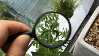 Қишлоқ хўжалигида билим ва инновациялар миллий маркази ташкил этилди