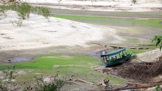 2023-yilda Amazonka tropik o'rmonlarida rekord darajada qurg'oqchilik qayd etildi