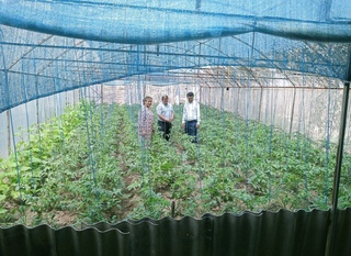 Qalovini topsang qor yonadi