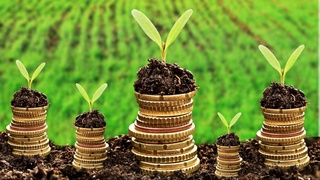 На поддержку сельского хозяйства Узбекистана выделят 250 млн долларов