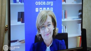 Сенат Раисининг биринчи ўринбосари ЕХҲТнинг ОАВ масалалари бўйича вакили билан учрашди