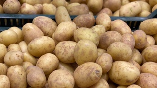 Молодой картофель появился на рынке на три недели раньше и стремительно дешевеет