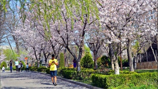 Прогноз погоды на 10 апреля