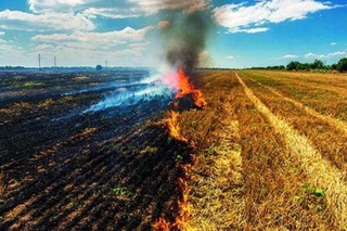 “Oʻzbekkosmos” dala yongʻinlarini kuzatish imkonini beruvchi portalni ishga tushirdi