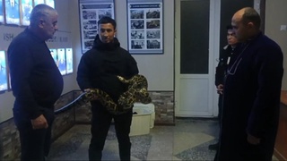 Самарқандда фуқаро камайиб бораётган илон билан томоша кўрсатиб юргани аниқланди