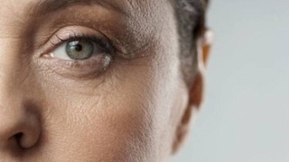Ученые выяснили, что глаза могут рассказать о старении и риске сердечно-сосудистых заболеваний