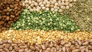 Ўзбекистон Европага дуккакли экинлар экспортини йўлга қўйди