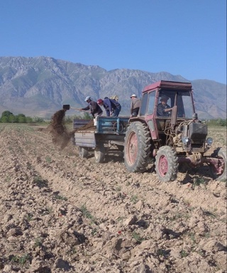 Urgut tumani innovasion hududga aylantirilmoqda