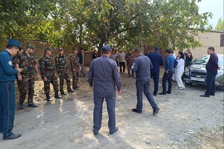 Yangiyoʻlda qoʻyib yuborilgan kobra ilonlari boʻyicha rasmiy maʼlumot berildi