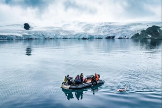 Chililik suzuvchi Antarktida qirg'oqlari bo'ylab muzli suvda suzib, jahon rekordini o'rnatdi