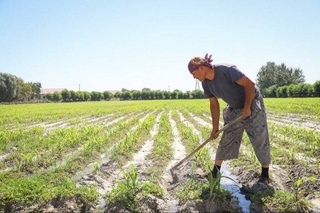 В Узбекистане мастерам-земледельцам будут выделять субсидии
