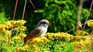 Weather forecast for April 25th