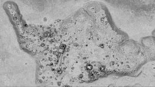 Meksikada qadimiy shahar xarobalari topildi