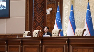 Сенат заслушал информацию о деятельности МИД в 2022 году