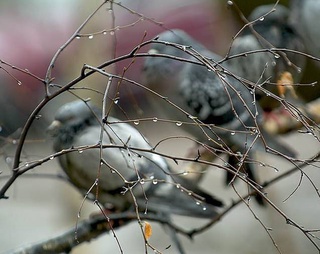 Прогноз погоды на 19 января