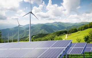 При импорте возобновляемых источников энергии допускается отсрочка уплаты таможенных платежей