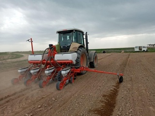 Ғузорда биринчилардан бўлиб чигит экиш бошланди