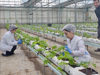 Қыйтақ жер мийнет еткен инсанды кем етпейди