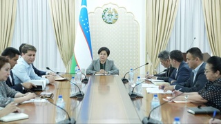 В Сенате состоялось заседание Комитета по вопросам молодежи, культуры и спорта