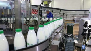 O'zbekiston sut ishlab chiqarish bo'yicha kuchli yigirmatalikda