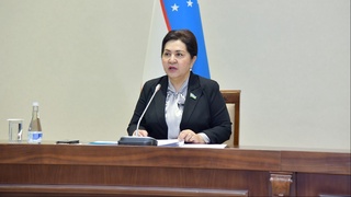 Senat Raisi: Pandemiya qanchalik qiyinchiliklar va noqulayliklar toʻgʻdirmasin mamlakatimizda islohotlar izchillik bilan davom etmoqda