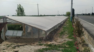 Dala chetidagi xazina