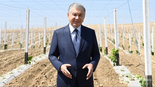 Дар Олтиариқ боғи ҳазор гектара бунёд карда шуд