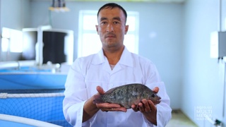 Научно-исследовательский институт рыбоводства: интенсивные технологии и современные лаборатории