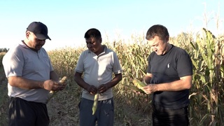 Шарўа от-жемин жетистириўде жаңа көзқараслар енгизилмекте