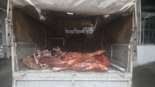 На ташкентском рынке «Эски жува дехкон бозори» обнаружили непригодные к употреблению мясные и молочные продукты