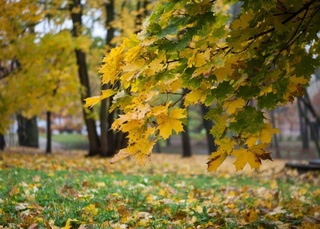 Прогноз погоды на день 27 октября