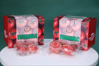 Oʻzbek olimlari pomidordan yangi avlod COVID-19 vaksinasi yaratdi