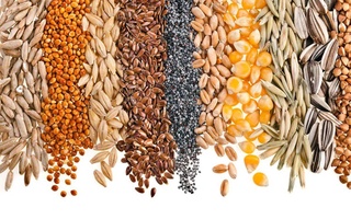 В Узбекистане создана система «E-urug‘»