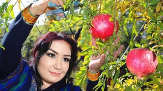 Гранатовые сады махалли «Марказ»