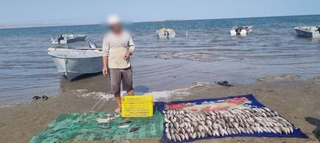 Незаконная рыбалка в Джизакской области нанесла ущерб природе на сумму 57 млн 750 тысяч сумов